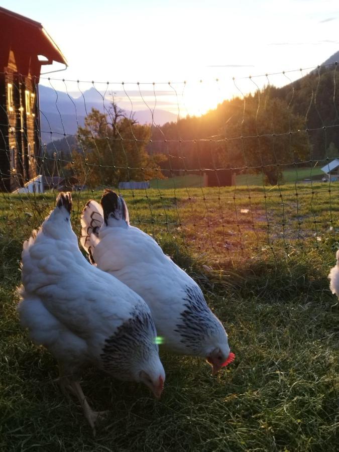 فيلا Gailerhof Liesing المظهر الخارجي الصورة